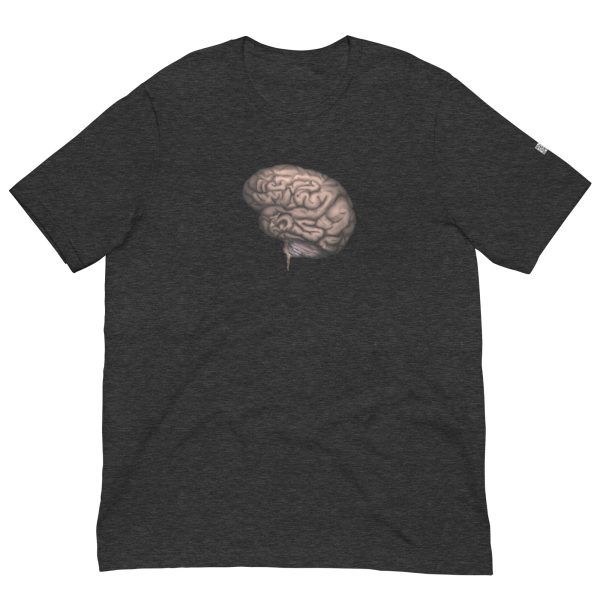 Brain - Image 12