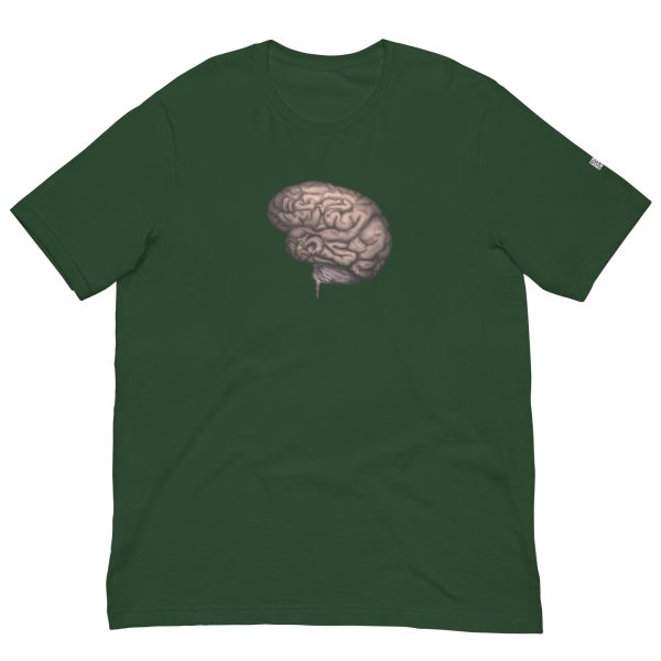 Brain - Image 8