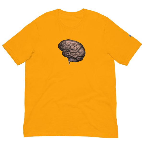Brain - Image 23