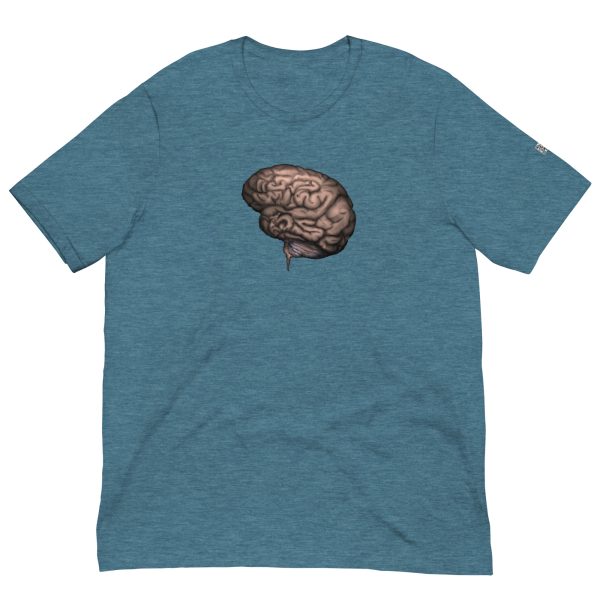Brain - Image 14