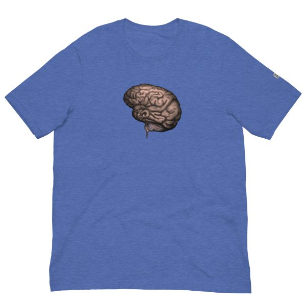Brain - Image 16