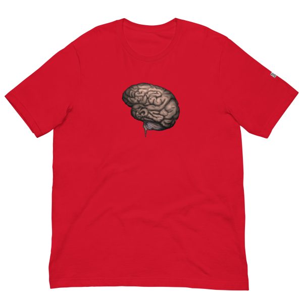 Brain - Image 6