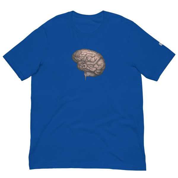 Brain - Image 10